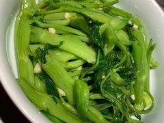 -夏日百货