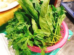 -濠轩阁特色生蚝火锅(水湾路店)