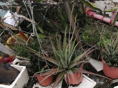 -深圳诚信专业防水补漏公司