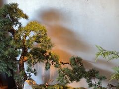 -蘇锦宴·淮扬菜烤鸭·小院(三元桥霄云路店)