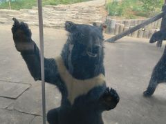 -南京金牛湖风景区