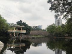 -晓港公园
