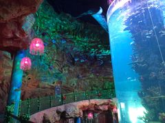 -青岛嘉年华主题乐园