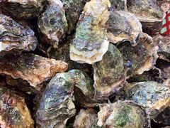 -后田海鲜餐厅(南澳香湖湾店)