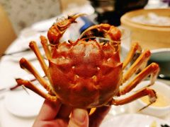 大闸蟹-新兴家喻酒家·羊城名宴(昌岗店)
