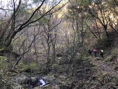 -秦岭风景区