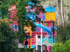 -合肥滨湖国家森林公园