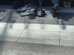 -文艺复兴百货(米兰大教堂广场店)