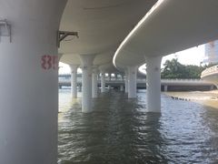 -演武大桥观景平台