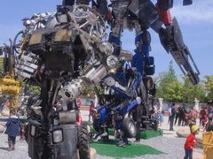 -上海长兴岛郊野公园