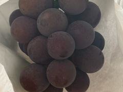 -马陆小张葡萄园农家乐