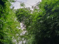 -贵阳市花溪国家城市湿地公园