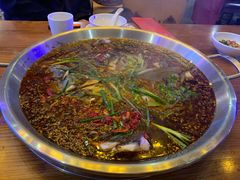 -红牌美蛙鱼头火锅(万辉国际广场店)