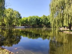 -石家庄市植物园