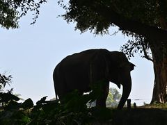 -深圳野生动物园