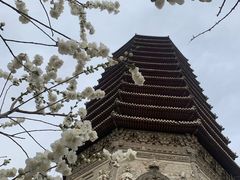 -玲珑塔公园