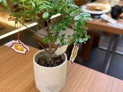 -CURRY YA 熟成咖哩專門店(深圳湾万象城店)