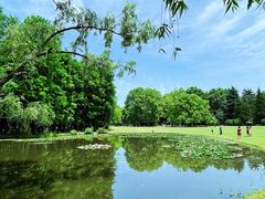 -上海共青森林公园