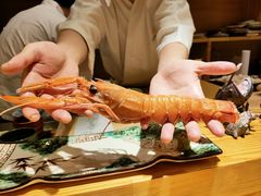 -镹·鱼料理  国产鱼使用店