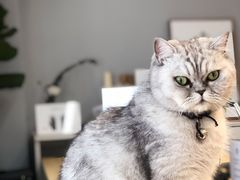 -Oasis绿洲银饰珍珠手作diy(壹方城店)