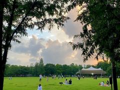 -景福宫