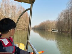 -上海海湾国家森林公园