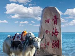 -青海湖国家重点风景名胜区