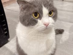 -猫儿山۰猫主题餐厅