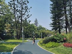 -四海公园(南山区)