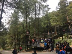 -梦幻奥陶纪景区