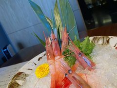 -桐寿司Sushi Tong