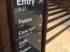 -怀托摩萤火虫洞