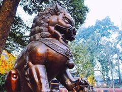 -峨眉山报国寺