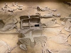 -洛阳周王城天子驾六博物馆