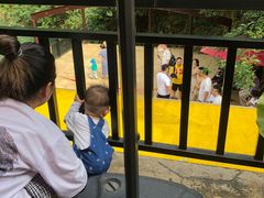 -将军关探险漂流