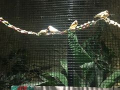 -zoonana室内动物园(东方福来德店)