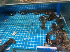 -良师门滨海人家·海鲜·家常菜(滨海城店)