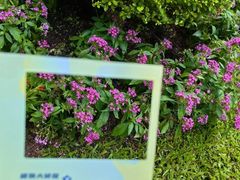 -广州花园酒店