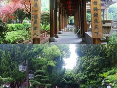-绳金塔