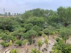 -宝安西湾红树林湿地公园