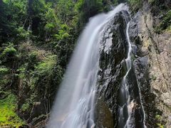 -姑婆山旅游区