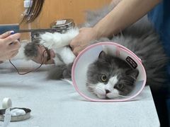 -联合动物医院(光谷诊疗中心)