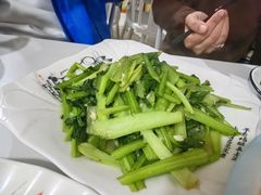 -煲来饱去冷水鱼