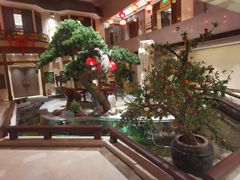 -顺峰(农展馆店)