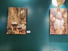 -烹然四季椰子鸡火锅(姚家园万象汇店)