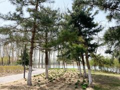 -大兴滨河森林公园