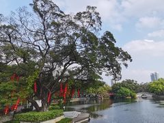 -荔湾湖公园