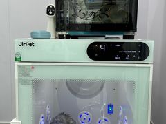 -爱洗澡的猫(望京店)