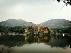 -白马涧龙池景区