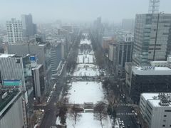 -大通公园